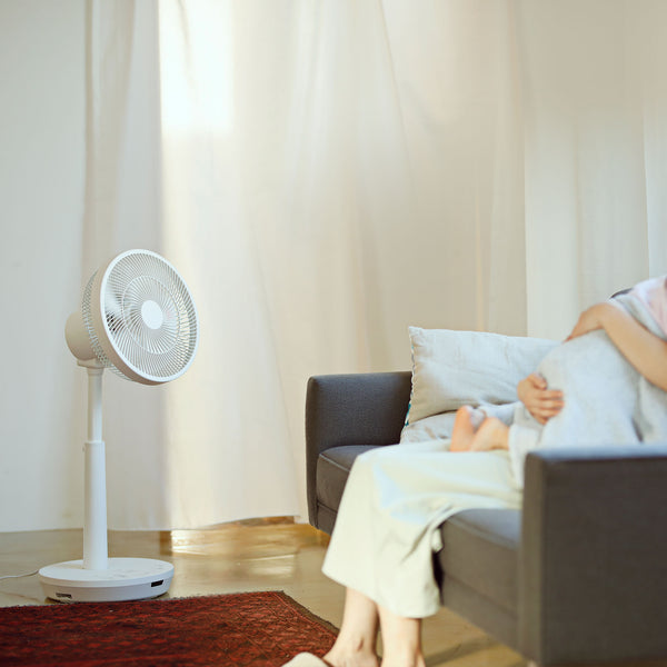 [箱破損/未使用品] DC3Dサーキュレーター扇風機(2023年モデル) SF-C213